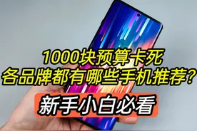 1000块预算卡死，各品牌都有哪些手机推荐？新手小白必看视频封面