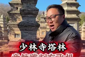 少林寺塔林的塔上竟然刻着飞机火车 #少林寺 #河南 #历史故事