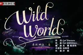 #希林娜依高摇滚民谣  希林娜依·高演唱《wild world》视频封面