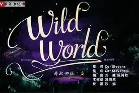 #希林娜依高摇滚民谣  希林娜依·高演唱《wild world》视频封面