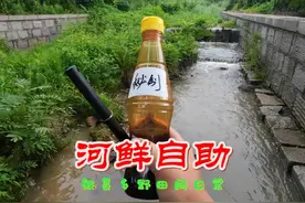 来一次说吃就吃的河鲜自助，生腌小龙虾，这味道真是绝了！ #三农视频封面
