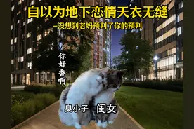 亲爱的妈妈我遇到一个女孩，她这两天打我的次数比，你20年还多视频封面