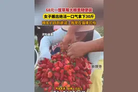 3月7日发布，#68元一筐草莓大棚里随便装  ，女子搬出绝活一口气拿下30斤，网友们跃跃欲试：我现在强得可怕。视频封面
