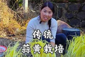 蒜黄种植 蒜黄古老种植方法，关键要找几个不透光的桶，扣在土壤里一段时间，就能长出喜人的蒜黄来。#我的乡村生活 #农村美食 #新农人计划2024 #蒜黄种植