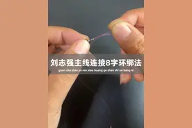 刘志强大师主线连接8字环绑法让人受益匪浅 #鱼线打结方法教学 #主线连接八字环 #钓鱼人 #八字环绑法视频封面