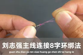 刘志强大师主线连接8字环绑法让人受益匪浅 #鱼线打结方法教学 #主线连接八字环 #钓鱼人 #八字环绑法视频封面