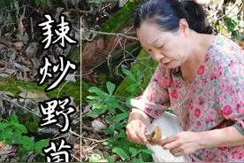 辣炒野菌子，一口就爱上！ 为了这一口辣炒野菌子，跑遍整座山我都愿意！真的是给肉都不换！#农村美食 #乡村味道 #新农人计划2025  #抖音美食创作人 #野生菌