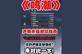 《鸣潮》 声骸升级避坑指南Ver.Solaris Level