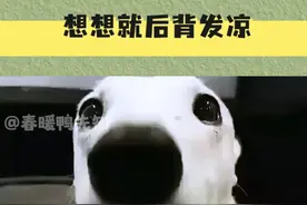 这也太细思极恐了，看网友的评论更是心寒#夫妻 #细思极恐 #万万没想到视频封面