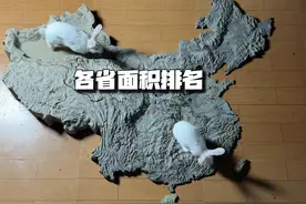 各省面积排行 地形图直观我国各省面积大小对比#地图 #地理 #新疆视频封面