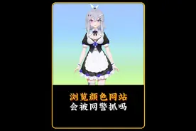 浏览颜色网站，会被网警抓吗？ #省流 #省流侠 #涨知识