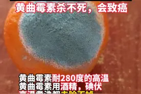 转给家人！！医生提醒"发霉的东西不能吃"，黄曲霉素杀不死，会致癌！#黄曲霉素 #致癌
