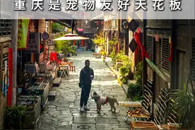 答应我，要带小狗来一次重庆，体验“宠物友好”天花板！视频封面