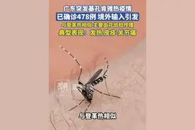 广东突发基孔肯雅热疫情，已确诊478例，境外输入引发，与登革热相似，主要由花斑蚊传播