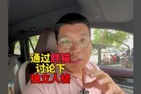 通过胖猫的事儿，咱们聊聊独立人格 胖猫的事儿告诉了我们什么视频封面