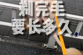 一开始挺高兴，仔细一想，不对啊！#金毛 #狗剃毛 #vlog萌宠日常 #铲屎官的乐趣 