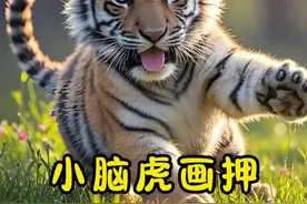 小老虎画押 饲养员给可爱的小老虎按脚印#东北虎 #野生动物零距离 #保护野生动物视频封面
