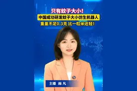 #中国成功研发蚊子大小仿生机器人  重量不足0.3克，比一粒米还轻！#美丽主播说新闻