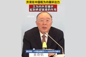 黄奇帆：外资在中国既为内循环出力 又为双循环起到桥梁链接的作用丨一手视频封面