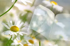 通用版 读书阅读好书分享朗诵演讲舞台表演LED背景音乐视频