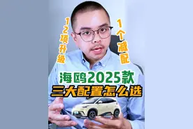 为什么：哪怕预算有限，也不要买低配？ #海鸥2025款 #比亚迪海鸥 #10万以内买什么车好 #10万左右买什么车 #适合女生开的车视频封面