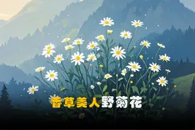 刀郎武汉演唱会以一曲《虞美人故乡》致敬屈原视频封面