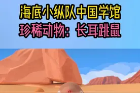 沙漠中的米老鼠——长耳跳鼠 长着猪鼻子、兔耳朵、牛尾巴，一蹦三尺高，这就是长耳跳鼠。它们昼伏夜出，白天在沙漠下的洞穴里生活，听力敏锐是夜晚精确探测和捕捉昆虫的利器。由于天气等多种自然原因数量锐减，已列为全球100最濒危灭绝物种之一。#海底小纵队中国之旅 #长耳跳鼠 #濒危物种