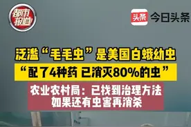 9月18日，河南驻马店。泛滥“毛毛虫”是美国白蛾幼虫，“配了4种药已消灭80%的虫”，农业农村局：已找到治理方法，如果还有虫害再消杀（二）#头条观察视频封面