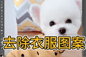 PS教程教你去除衣服图案 #ps教程 #p图 #大神ps #修图 #修图前vs修图后视频封面