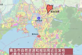 城阳东部片区最新控规公示，关注这里发展的，研究研究吧#城市建设  #最新消息 视频封面