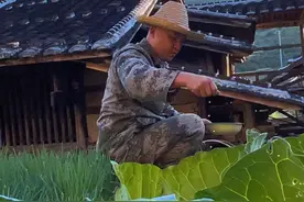 古法培育豆芽，历时七天，黄豆芽成功生长，脆嫩香甜，味道鲜美。 #新农人计划2024 #我的乡村生活 #抖音新农人 #乡村守护人 #豆芽