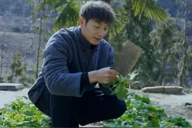 农村生活简单而美好，一荤一素便是真实写照，也是生活的质朴与本真，让人沉醉在这宁静的田园时光里。#农村美食 #我的农村生活 #新农人计划2025视频封面