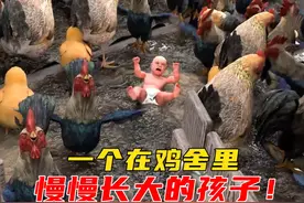 一个在鸡舍里生活七年的孩子，长大会是什么样？ #科普