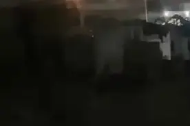 美军作战计划离谱泄密，聊天记录都出来了，原因竟是错把记者拉进群视频封面
