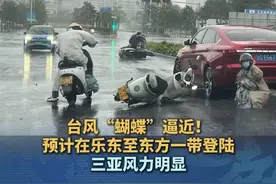 台风“蝴蝶”逼近！预计将在乐东至东方一带沿海登陆，三亚风力明显 ，路边部分树枝折断 #台风蝴蝶  #海南  #三亚  #台风