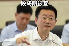 涉嫌严重违纪违法 重庆市政协副主席 段成刚被查视频封面