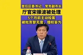 据山东省纪委监委4月22日消息：经山东省委批准，山东省淄博市委原常委，市政府原党组副书记、副市长宋振波严重违纪违法被双开。#山东 #贪婪 #主动投案 #被处理视频封面
