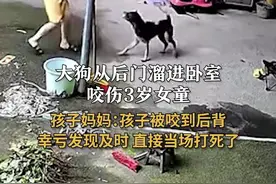 孩子妈妈回应#大狗溜进卧室咬伤3岁女童  ：孩子被咬到后背 幸亏发现及时 直接当场打死了#危险 #狗视频封面