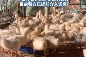 辽宁一养殖基地三次被烧总损失超5000万元：“第一次起火就损失了3000多万，但最终不了了之”#热点新闻事件 #热点追踪 #大棚 #养殖基地视频封面