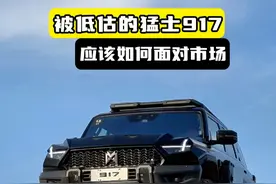 猛士917，被低估的机甲越野 #运良越野 #猛士917视频封面