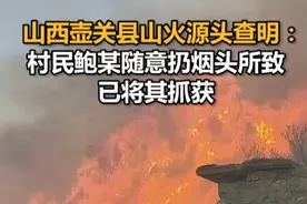山西壶关县山火源头查明：村民鲍某随意扔烟头所致，已将其抓获视频封面