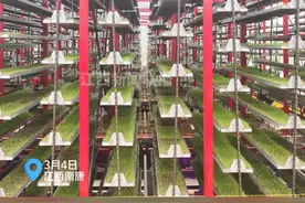 目前，江西已建成水稻机械化育秧中心1331个，单季育秧能力达到597.5万亩。#春耕 #农业 #智能 #水稻视频封面