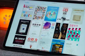 iPad看书自由🔥学会这个真是被你赚大了 #电子书 #电子书下载视频封面