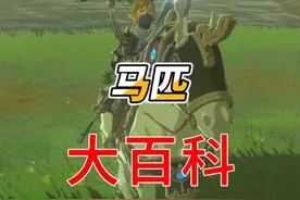 【旷野之息】马匹知识全解析！ #塞尔达 #塞尔达传说旷野之息视频封面