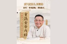 真气是什么 从哪来 内在臟腑的运作，它是受另外一个系统控制。推动它的能量，我们叫真气。推动真气的运动的那个，我们叫元神。当你处于恬淡虚无的状态时候，你能够感觉到你的真气的运行。#黄帝内经 #经典 #真气 #能量 #徐文兵
