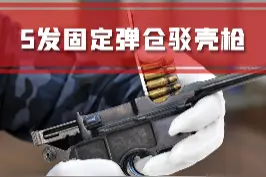5发固定弹仓驳壳枪 #科普 #硬核 #兵器 