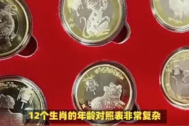 12个生肖的年龄对照表 #传统文化  #知识  #老六师傅视频封面
