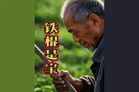 老农捡的铁棍子原来是个宝#人物故事 #万万没想到 #说故事的敏姐视频封面