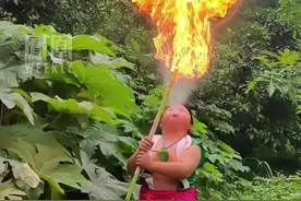 #重庆7岁男孩苦练非遗绝技“喷火” ，从小热爱传统文化，梦想成为川剧大师