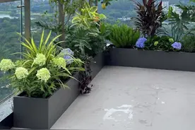 楼顶露台做成花园 邻居都跑来抄作业 #花卉绿植 #植物造景 #室外花园造景 #如何打造一个小花园 #露台花园视频封面
